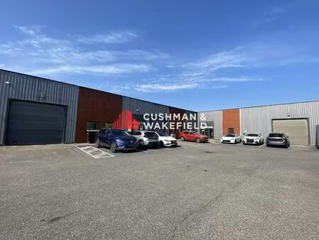 location local d’activités montrabe 31850 221m² à 1021m²