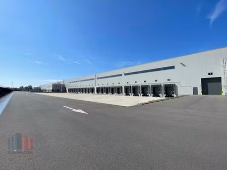 commercieel te huur in zeebrugge