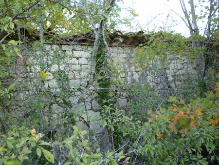 ancienne petite grange en pierre a restaurer