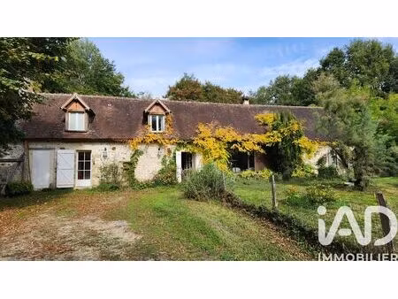 maison de campagne à moulins sur céphons (36110)