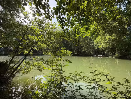 propriété rare en dordogne : un étang + une longère avec piscine