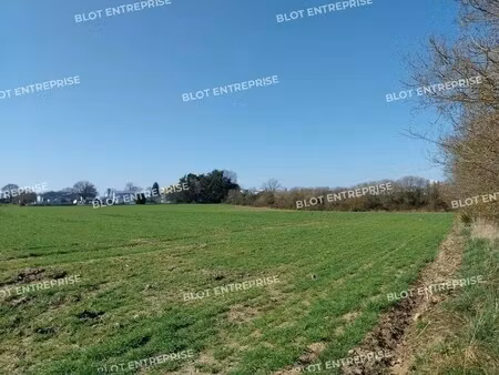 vente terrain allaire 56350 25260m²