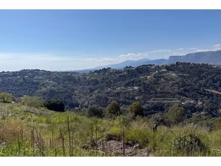 annonce terrain à vendre