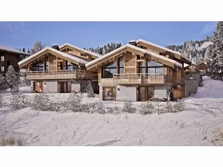 2 chalets indépendants en plan  5 chambres chacun  orientation sud-ouest  à vendre à...