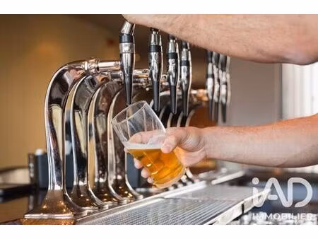 bar  brasserie  tabac à tours (37000)
