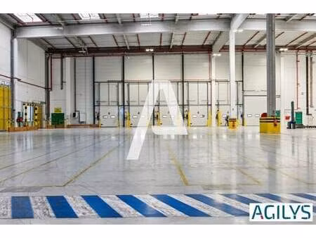 location entrepôt serris 77700 6815m²