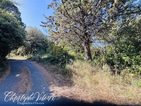 terrain viabilisé - 2500m2 - 11570 palaja