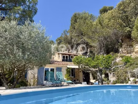 votre havre de paix en provence  avec le château en toile de fond !