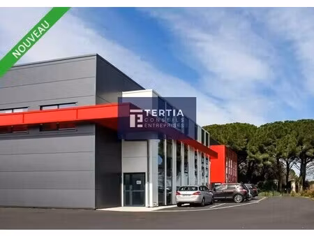 location local d’activités baillargues 34670 334m²