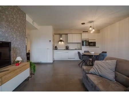 appartement te koop in heule met 1 slaapkamer