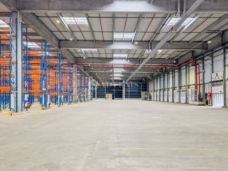 vente entrepôt ploumagoar 22970 3682m² à 23494m²