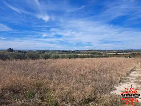 terrain agricole
