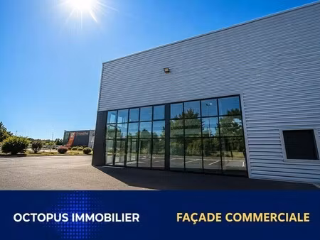 location bureaux 240 m²