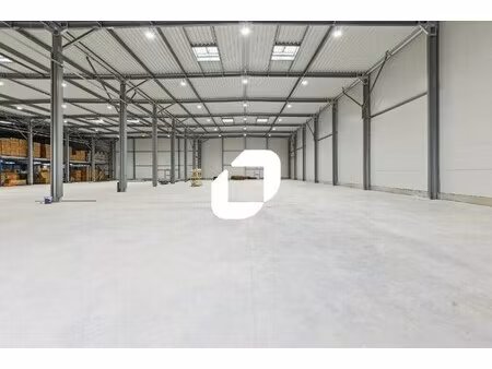 vente local d’activités saint pathus 77178 4000m²