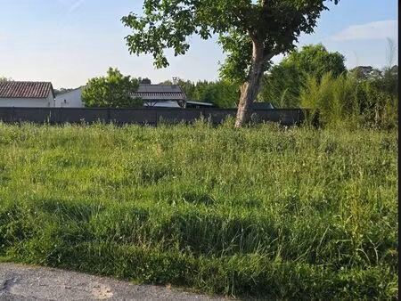 vente terrain 537 m² peujard (33240)