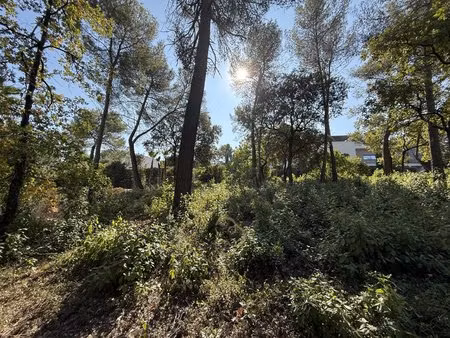 terrain
