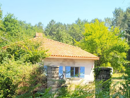 landaise avec dépendances et forêt