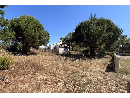 achat terrain 386m²