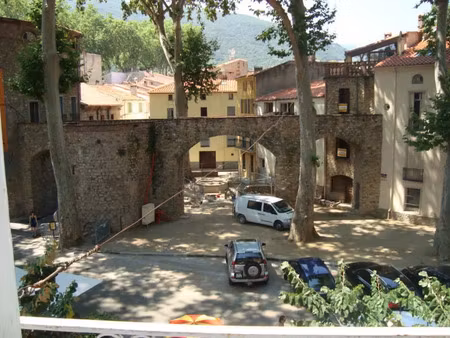 location appartement 2 pièces 38m2 céret 66400 - 540 € - surface privée