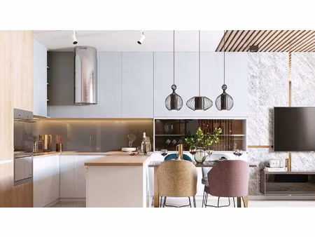 vente programme neuf t1  t3  t4 pièces 28 à 100 m² saint-cyr-sur-loire (37540)