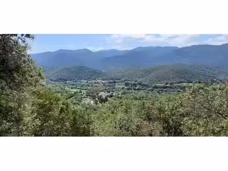 vente terrain 17646m2 reynès 66400 - 36000 € - surface privée