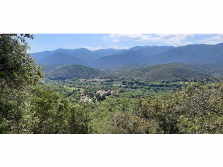 vente terrain 17646m2 reynès 66400 - 38500 € - surface privée