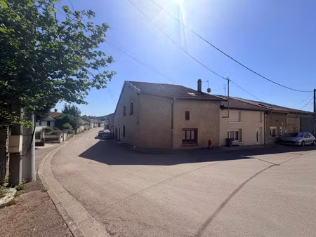vente maison 4 pièces 115 m² dammarie-sur-saulx (55500)
