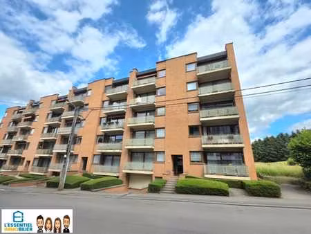 superbe appartement 2 chambres entièrement rénové avec parki