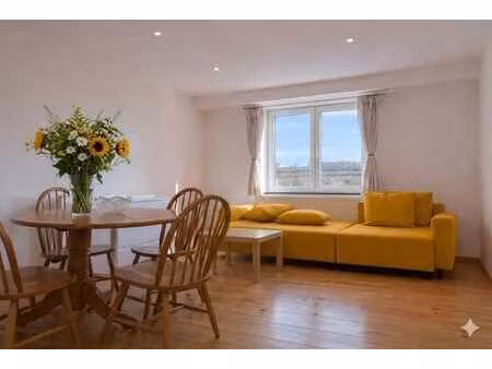spacieux appartement 1 chambre