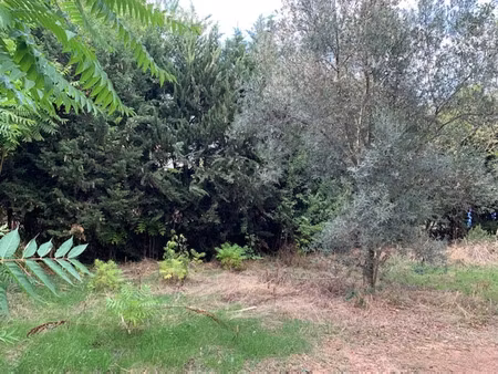 vente terrain neuf 700m2 aups - 77000 € - surface privée