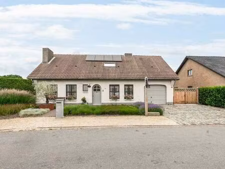 maison à vendre à lommel € 465.000 (lpfqk) - heylen vastgoed - lommel | zimmo