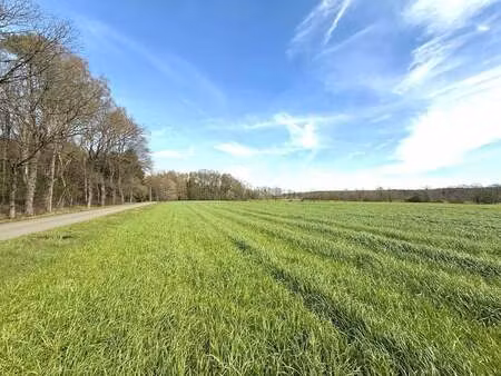 terrain à vendre à tessenderlo € 1.637.880 (lpftd) - trend vastgoed | zimmo