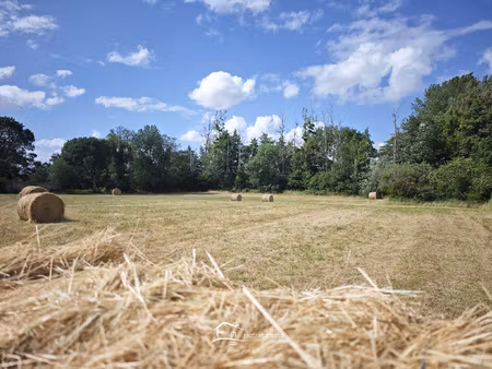 terrain constructible