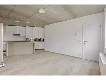 propriété de rendement récemment construite à kruibeke
