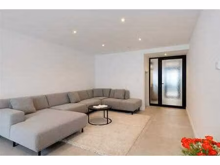 maison rénovée près du centre de zottegem !
