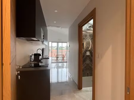 studio avec vue sur montagne proche estia