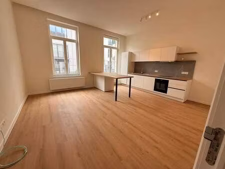 appartement rénové 55 m²  1 chambre  cuisine équipée