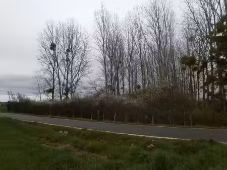 terrain libre pour garde d’animeaux ou loisirs a voir...