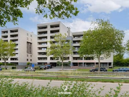 appartement à louer à hasselt € 790 (lpgk0) - schraepen vastgoed | zimmo