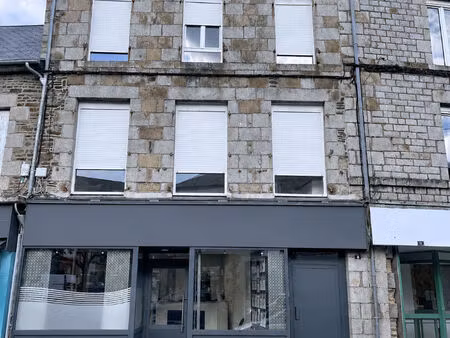 immeuble st james 10 pièce(s) 287 m2  3 logements et un local commercial