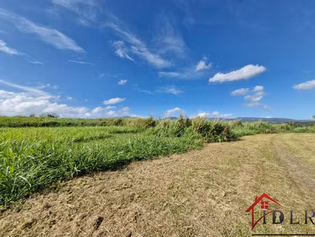 terrain à batir - section caiiloux au lamentin 590m2