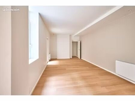 lille gambetta/théatre sébastopol spacieux appartement 2 chambres avec cour de 100 m²