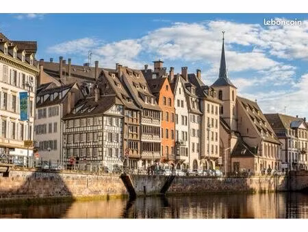 famille sérieuse cherche nouveau foyer – strasbourg / sélestat
