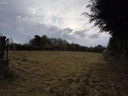 terrain pour pâturage