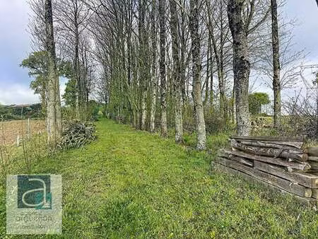 vente terrain à rouillac (22250) : à vendre / rouillac