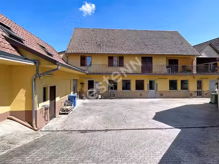 immeuble à vendre à ernolsheim/bruche - 12 pièces  530 m²  boulangerie/pâtisserie  jardin 