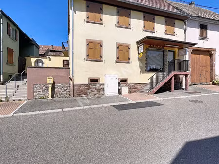 immeuble à vendre à ernolsheim/bruche - 12 pièces  530 m²  jardin  garage