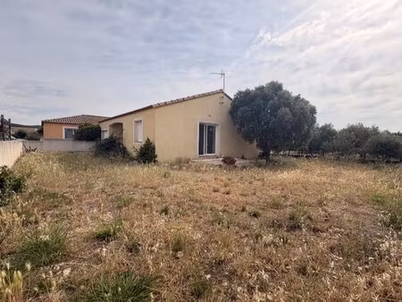 maison à louer plain pied - roubia