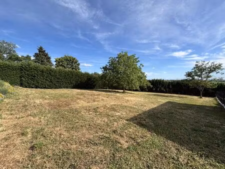 terrain