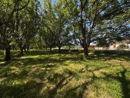 terrain arboré de 1 255 m2 à tauriac